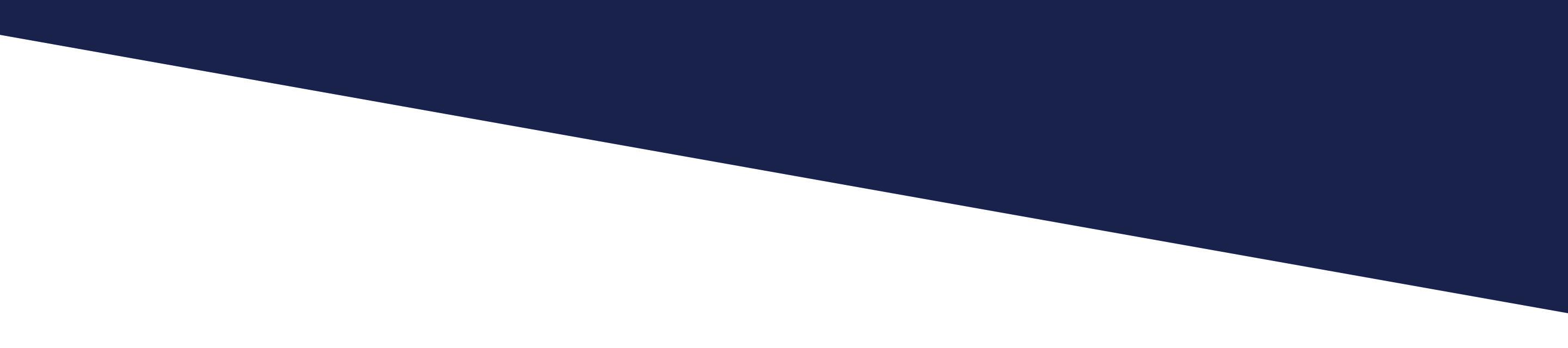 The image is a diagonal navy banner which integrates with the website's backround to give users aa different website layout. 